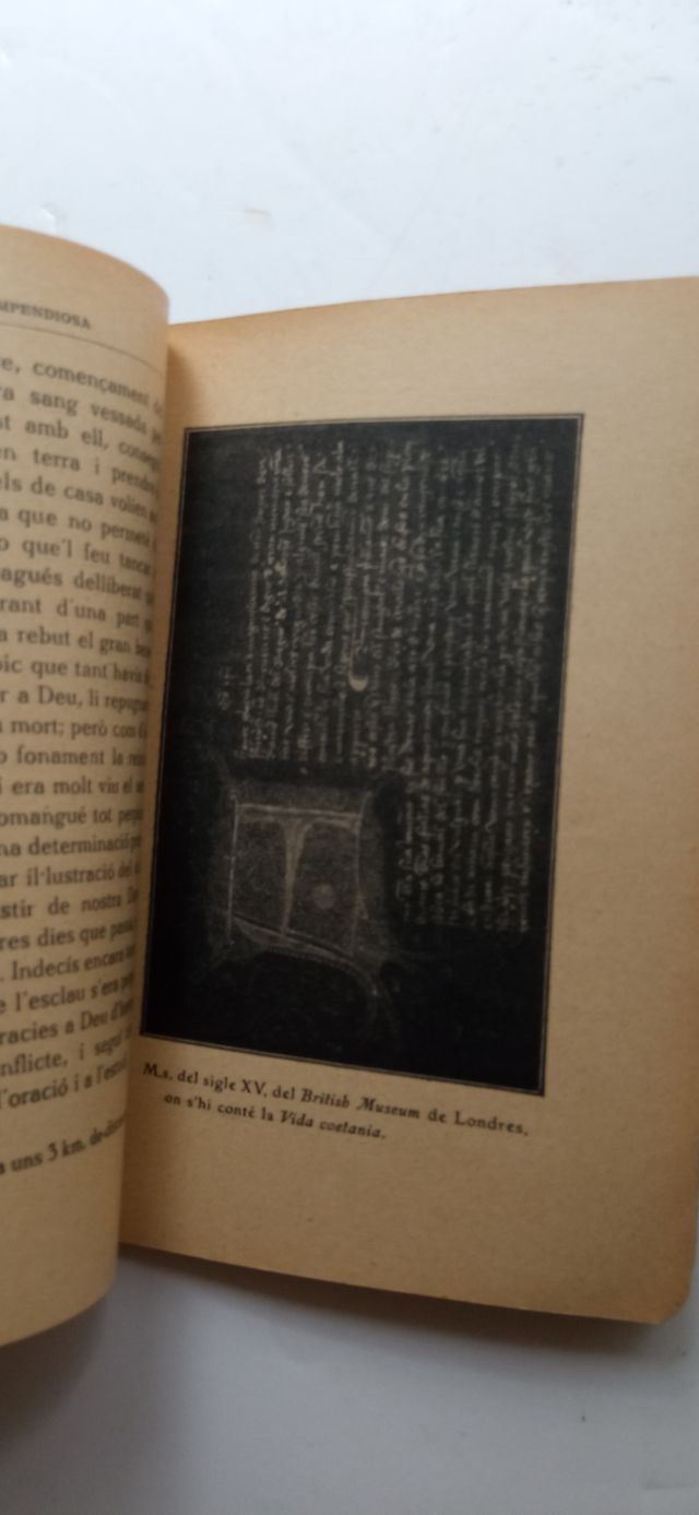 VIDA COMPENDIOSA  RAMON LLULL