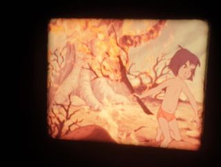 EL LIBRO DE LA SELVA-SUPER8MM-1 X 60 MTS