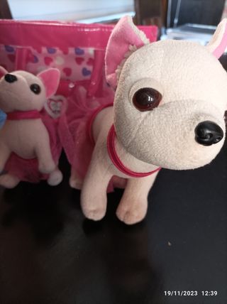 Perros Chi Chi love