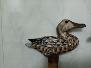 2 BASTONI DA PASSEGGIO