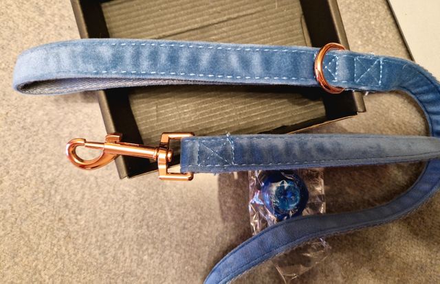 Set de collar y correa de terciopelo para perro