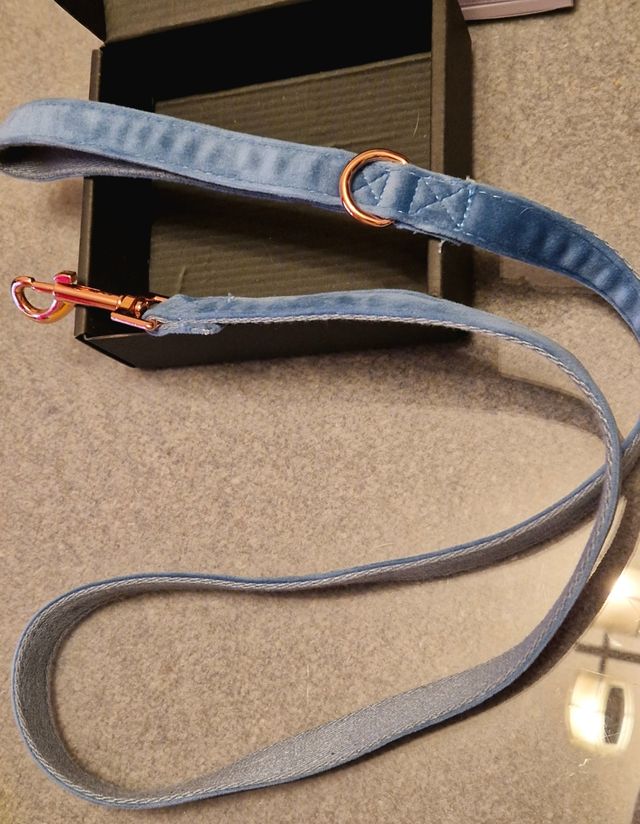 Set de collar y correa de terciopelo para perro