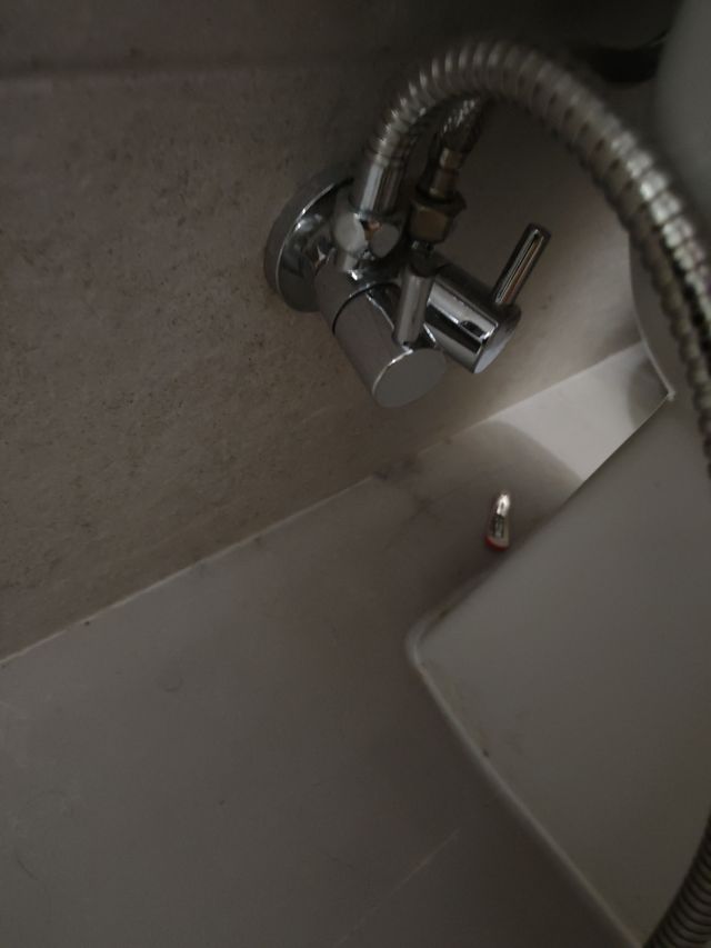 Grifo de WC. o ducha.