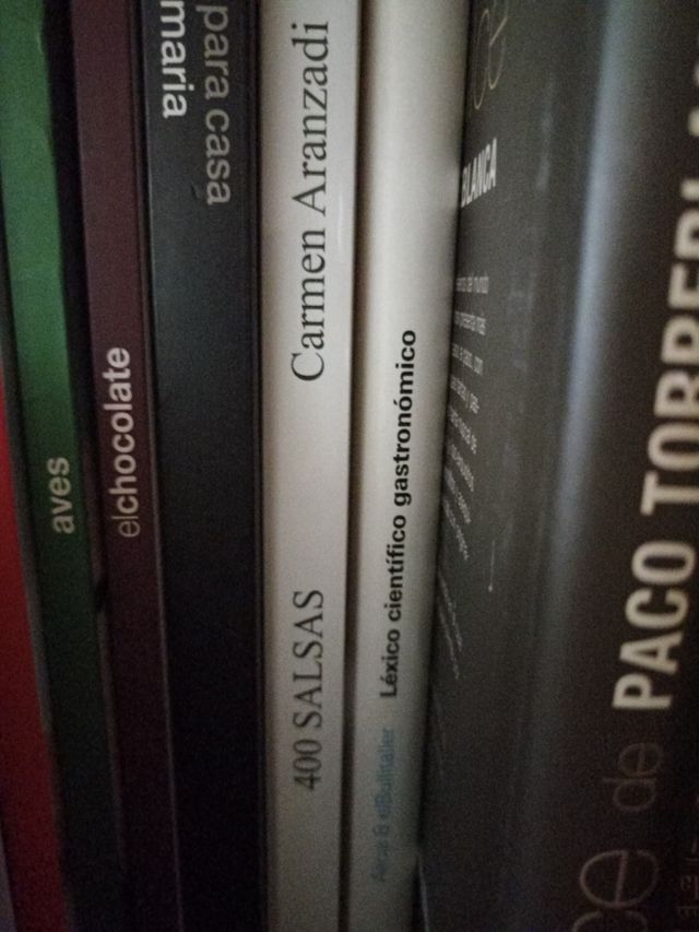 400 Salsas de Carmen Aranzadi