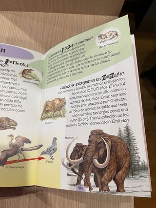 1000 preguntas y respuestas. Libro