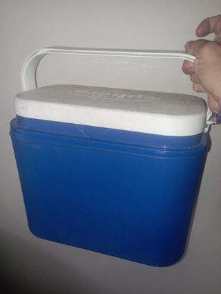 Nevera Pequeña