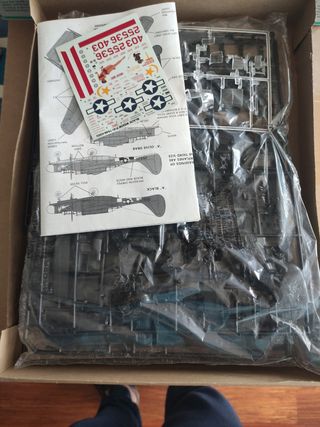 BLACK WIDOW P-61