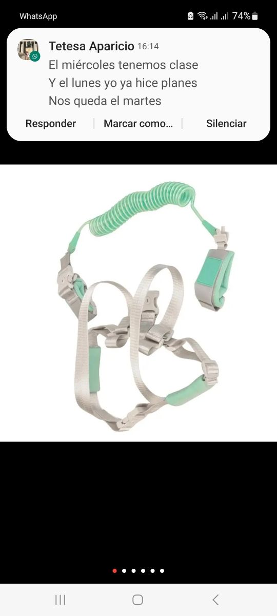 Correa seguridad niños