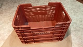 Caja frutera