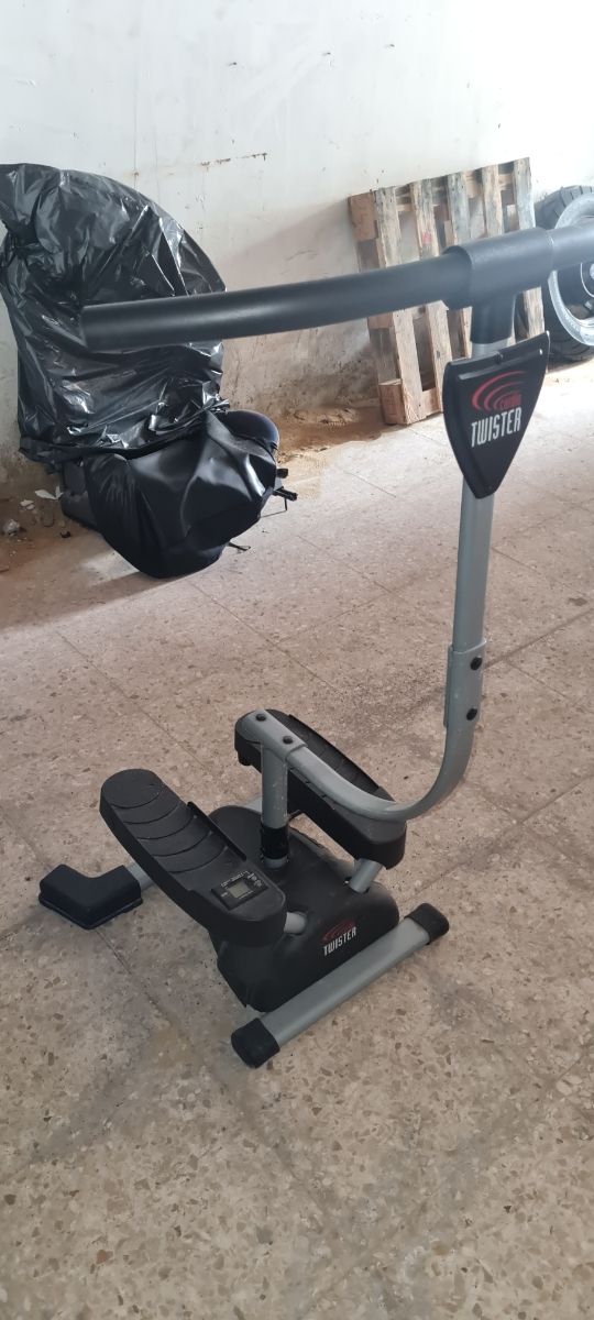 stepper giratorio cardio twister