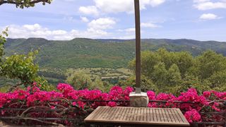 Habitación en rancho forestal