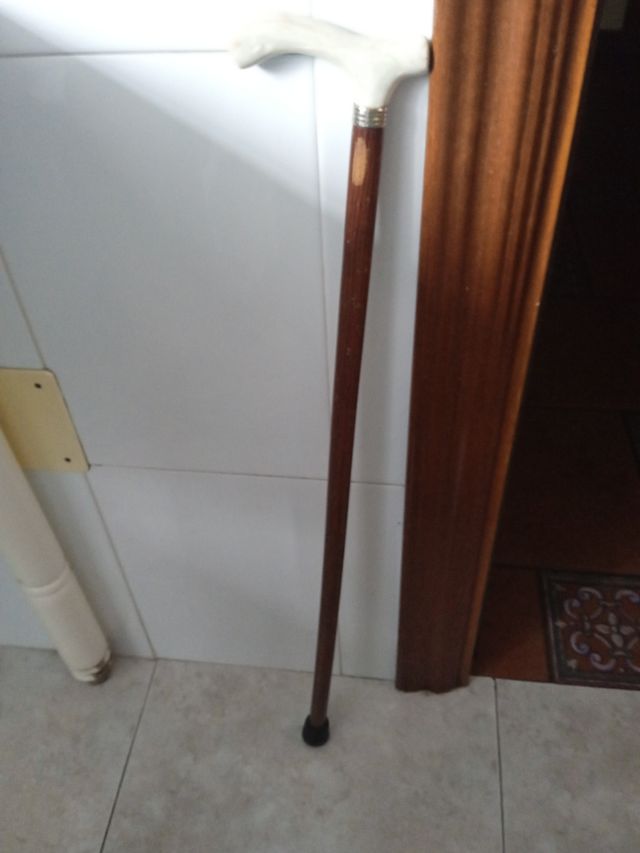 bastón