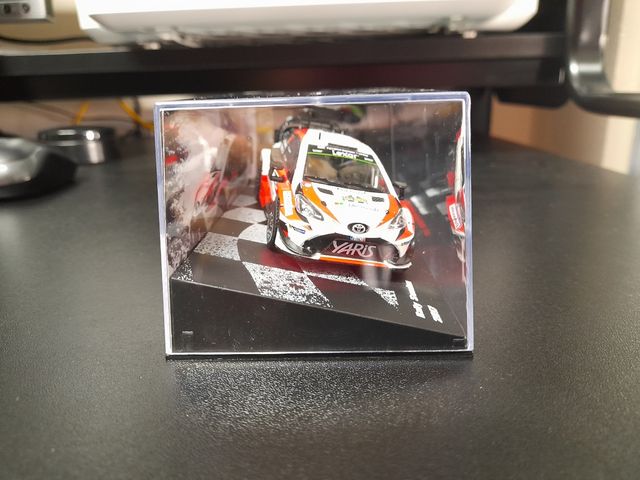 Solo está semana Terrario