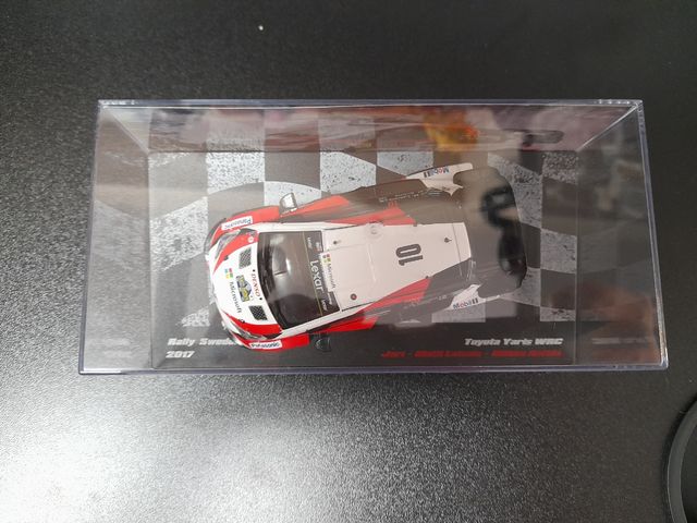 Solo está semana Terrario