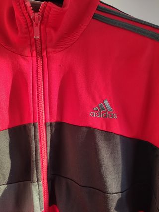 Adidas Chaqueta chandal