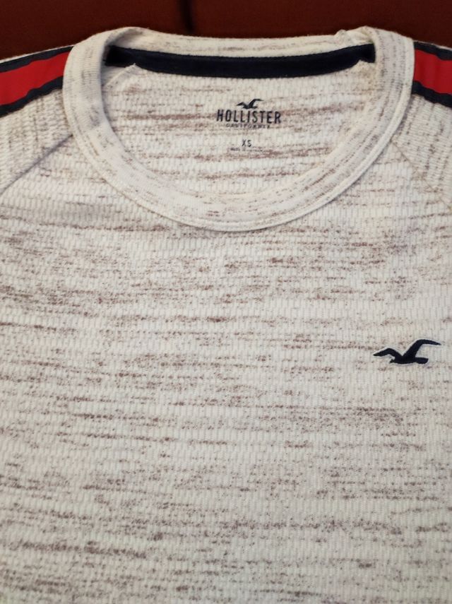 Camiseta manga larga Hollister