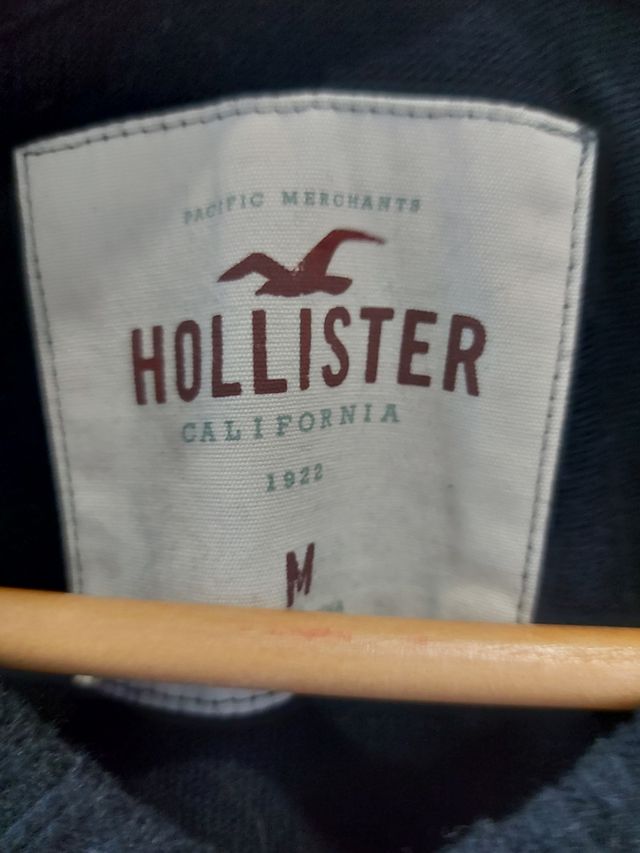 Hollister Talla M