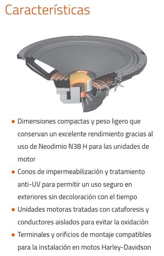 PAREJA DE MEDIOS 500W 8"