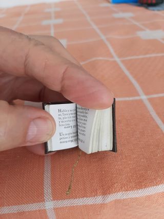 Minilibro de adivinanzas