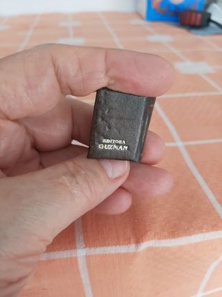 Minilibro de adivinanzas