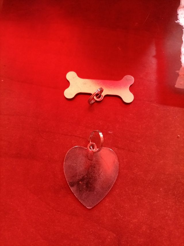 placas identificación animales