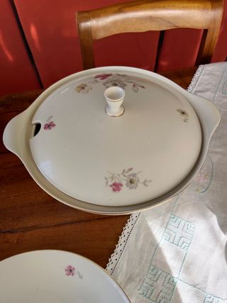 zuppiera e terrina 