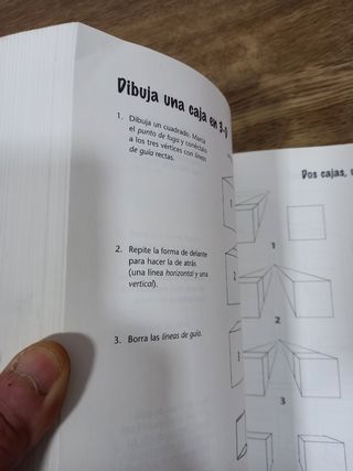 libro Dibujar paso a paso
