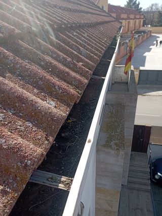 rejillas anti hojas 