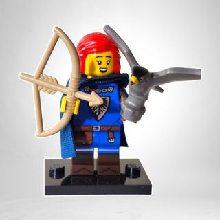 figuras lego Falconer serie 24