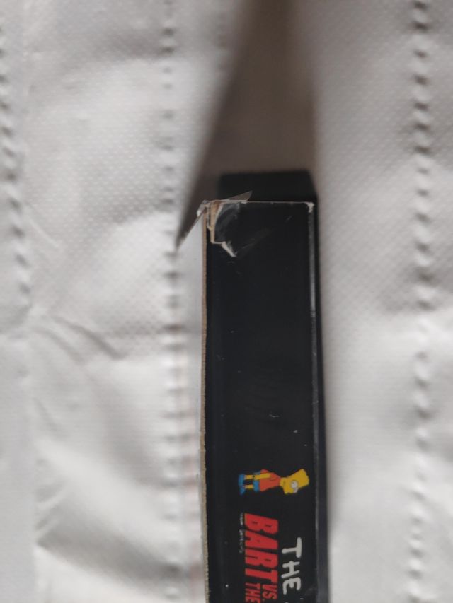 the Simpsons bart VS amstrad disco