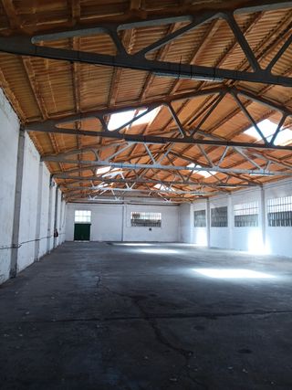 Oficina - Local en alquiler