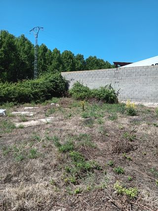 Oficina - Local en alquiler