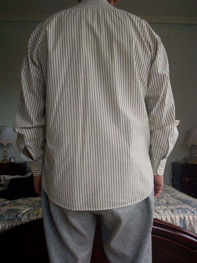 Camisa Springfield Manga Larga