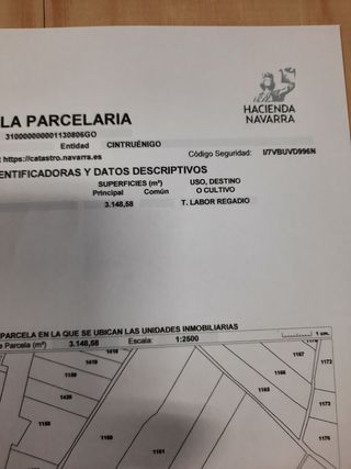 Tierra de labor en regadío.