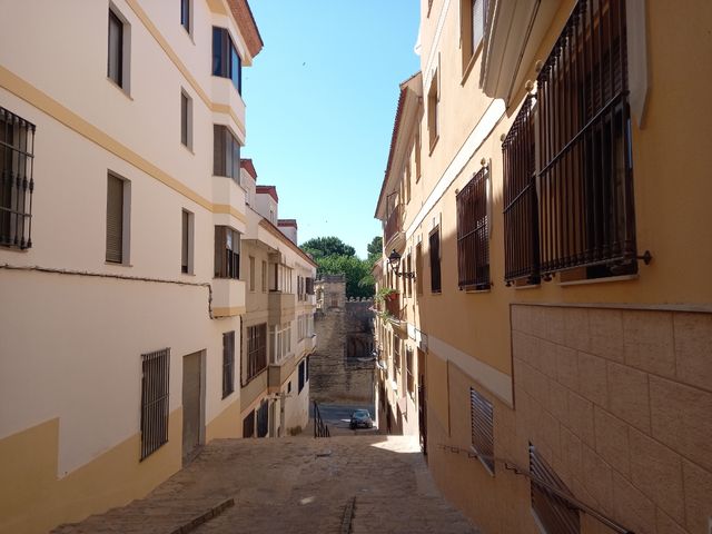 Local Comercial 780 m2