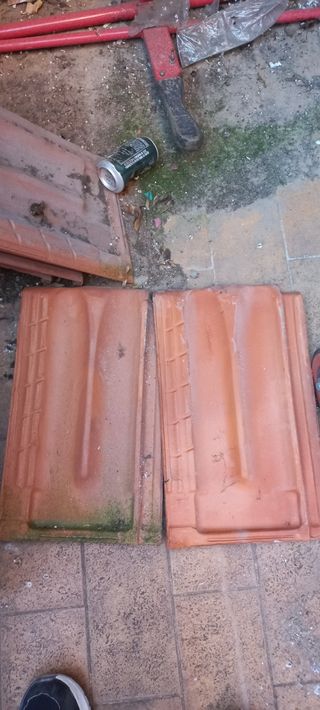 tejas
