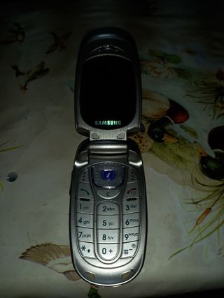 Cellulare Samsung