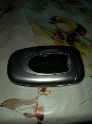 Cellulare Samsung