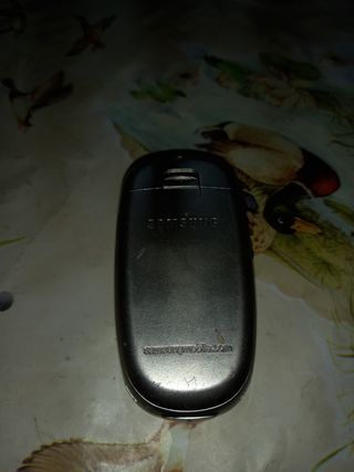 Cellulare Samsung