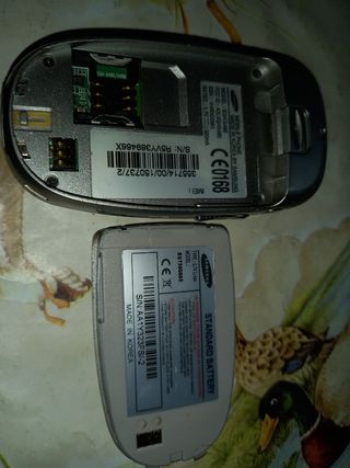 Cellulare Samsung