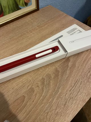 Apple Pencil 2ºGeneracion más funda