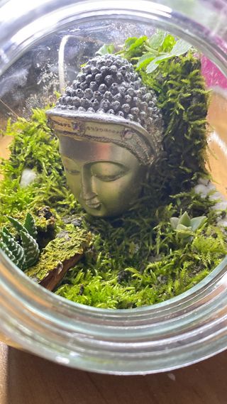 Terrario. Un trocito de bosque en casa.