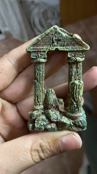 Terrario. Un trocito de bosque en casa.