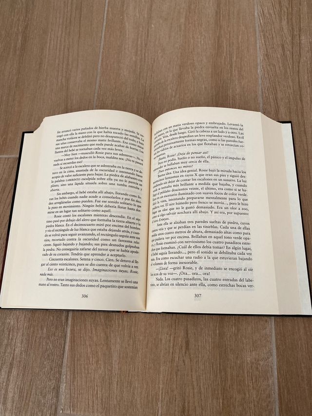 El Retrato de Rose Madder Stephen King