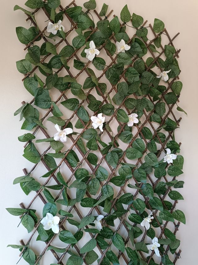 Conjunto de mesa,sillas y celosia