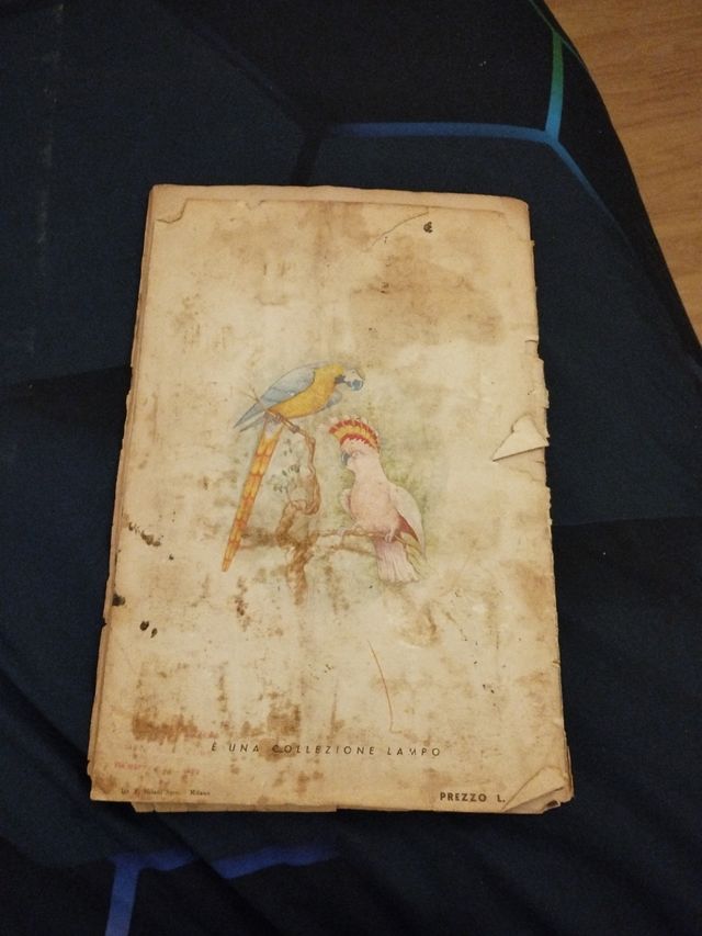 Albo per Figurine di Animali di tutto il Mondo -