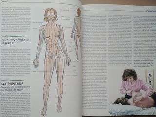 Diccionario de las medicinas naturales.