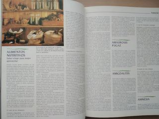 Diccionario de las medicinas naturales.