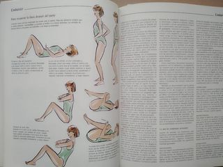 Diccionario de las medicinas naturales.