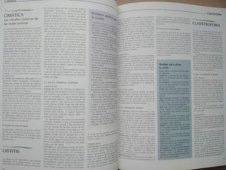 Diccionario de las medicinas naturales.